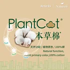 High Quality Soft Natural Primary Color Herbal Cotton Plantcot Yarn