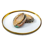 Abalone For Captain Jiang FROZEN ABALONE IN SHELL 70-80g/PCS FOR SALE