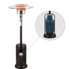 Gas Gas Outdoor Heater Gas Outdoor Flame Gas Heater