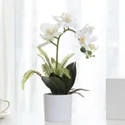 Orchids Decorative Flowers Classic Wedding Decorative Latex 7 Heads Faux Orchid Flowers In Stock