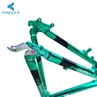 Frame RALLEX Original Processing Pipe Materials Painting Decal Alloy Downhill Mountain Bike Mtb Frame Bicycle Frame