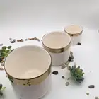 Flower Pot Gold Or Custom Pot Pot Hot Selling Round Shape Porcelain Plated Flower Pot