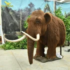 Animal Model Life Size Animal Model Life Size Prehistoric Animal Animatronic Mammoth Animal Model