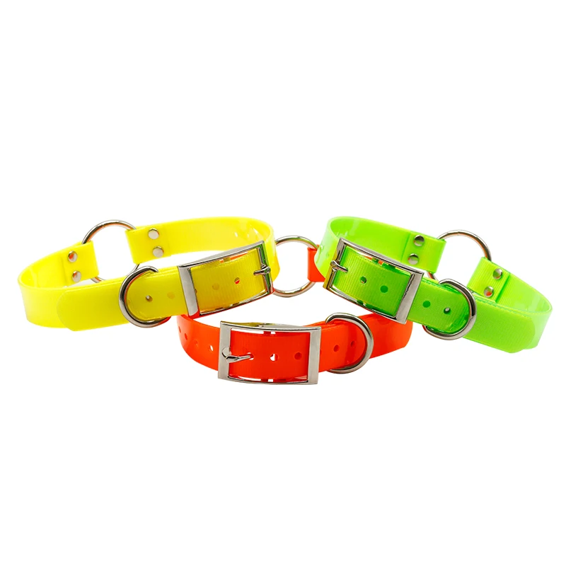 How Do You Clean A Stinky Dog Leash