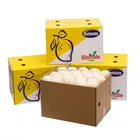 Globally Montale Organic Yellow Fresh Lemon Size 88-150 Green Food Outlet Globally Supply