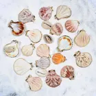 Sea Shells 2021 Wholesale Colorful Gold Plated Edging Natural Summer Beach Decorative Scallop Sea Shells For Crafts