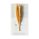 Card Cards Pp Photo Postcard Folder Quilling Greeting Card Birthdaysinging Module For Cards With Music Chip