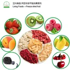 Dry Dry Fruits And Nuts Healthy Diet Dry Fruits Nuts Freeze Dried Food