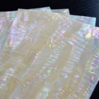 Pearl Shell Abalone DB016 Mother Of Pearl Shell Veneer Paua Abalone Paper Laminate Shell Sheet