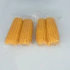Yellow Corn Corn Twin Fresh Yellow Vacuum Packed China Sweet Corn For Wholesale