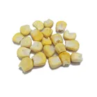 Dried Corn Driedcorn Large Grain Huazhen Freeze Dried Sweet Corn Low Price