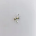 Crystal Earrings Earrings 2021 New Stainless Steel Crystal Earrings For Men And Women