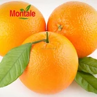 Montale Factory Sale Navel Orange Sweet Juicy Honey Oranges Fresh Oranges