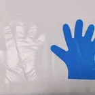 Gloves Tpe Gloves TPE CPE Disposable Eco-friendly Cheap Gloves