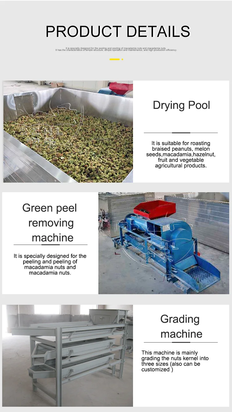 Nut Hazelnut Cracking Shelling Drying Machine Macadamia Processing Plant manufacture