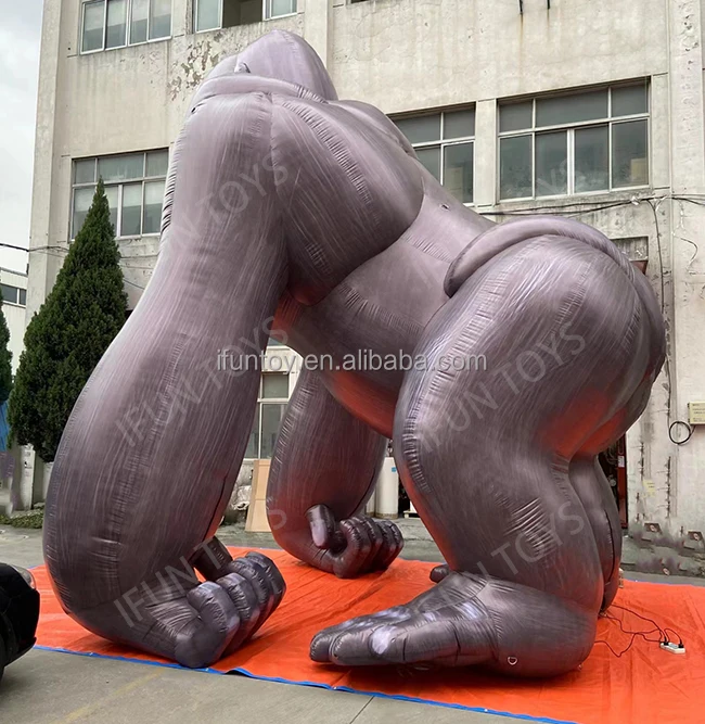 Gorilla 2022080801-1.jpg