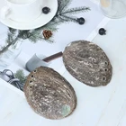 Crafts Raw Shell Natural Aquarium Landscape Crafts Raw Abalone Shell