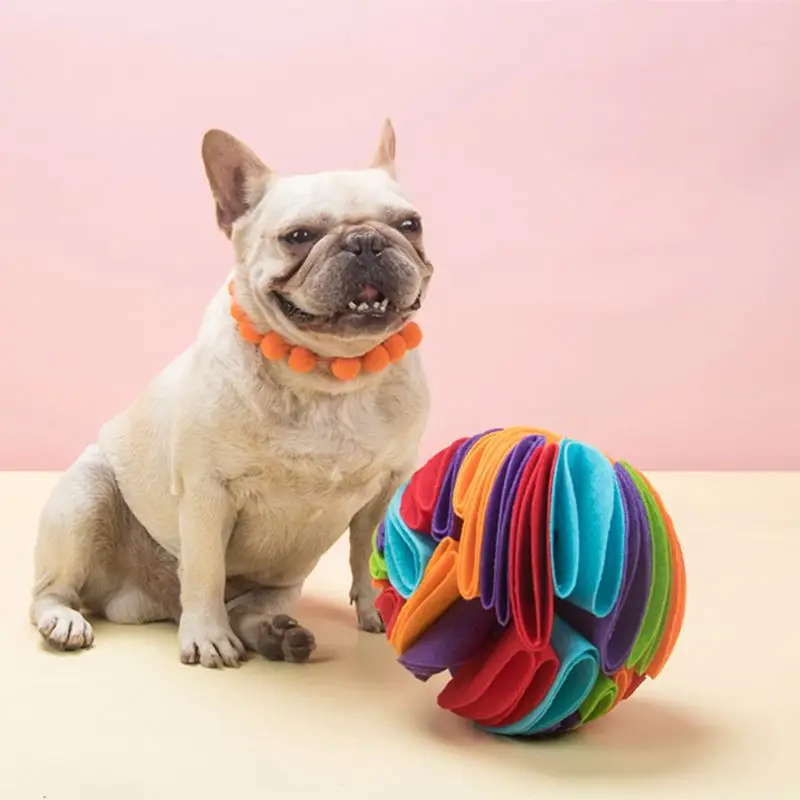 Can A Dog Choke On A Ball