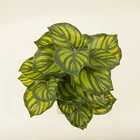 Material Pe Wholesale Customized Good Quality PE Material Suppliers Home Decoration Plants Artificial