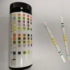 High Accuracy Protein Analysis Easy Uric Acid Ketone Sodium Uti Infection Urine Multi Cystitis Test Strips