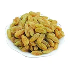 Hot Sale Cheap Dried Fruit Natural Air Dry Grapes Top Grade Green Raisin