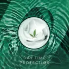 Moisturizing Cream Day Private Label Moisturizing Anti-aging CBD Hemp Oil Face Cream