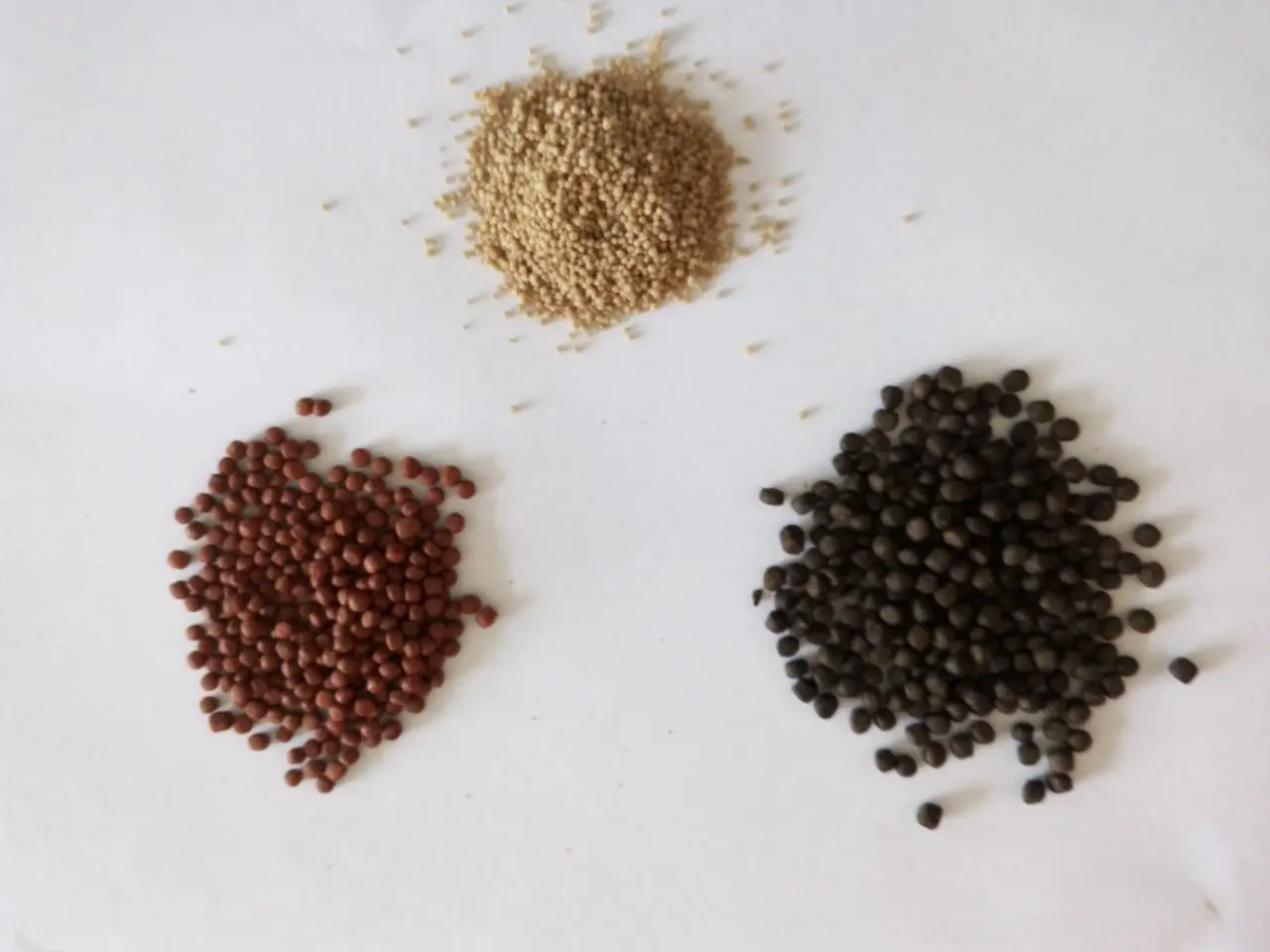 Animal Feed Processing Machines 50kg/h 80kg/h 100kg/h Fish Pet Cat Dog Food Extruder Processing Machine supplier