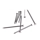 Nail Nails 2x12 Bright 40mm Polished Galvanised Round Common Wire Nail Round Checked Head Common Round Iron Wire Nails