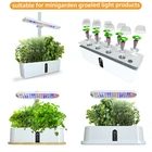 Plant Soilless Cultivation Seedling Block Nutrition Plant Sponge 10 Pieces/set Soil Block