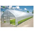 Banana Film Greenhouse Customized Tunnel Commercial Plastic Film Greenhouse For Banana Growing