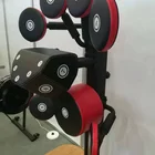 Case Fitness Master Boxing Ball Boxing Training