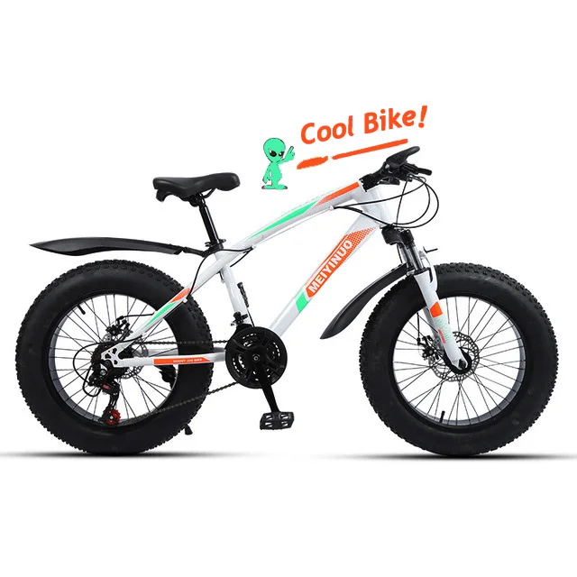 girls fat tire bike