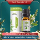 Oil 2021 Hot Sales Factory Wholesale Factory Price Basil Essential Oil For Massage Oil And Aromatherapy