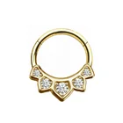 Plated Piercing Earring Piercing Toposh Gold Plated Segment Rings Threadless Piercing Cartilage Hoops Jewelry