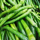 Large Fresh Fresh Hot Sell A Large Number Of Fresh Natural Chili