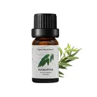 Essential Oil OEM Best Vegan Boost Immunity Original Nature 100% Pure Eucalyptus Essential Oil