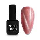 Polish 48 Colors OEM Private Labels Cat Eye Nail Polish For Beauty Salon
