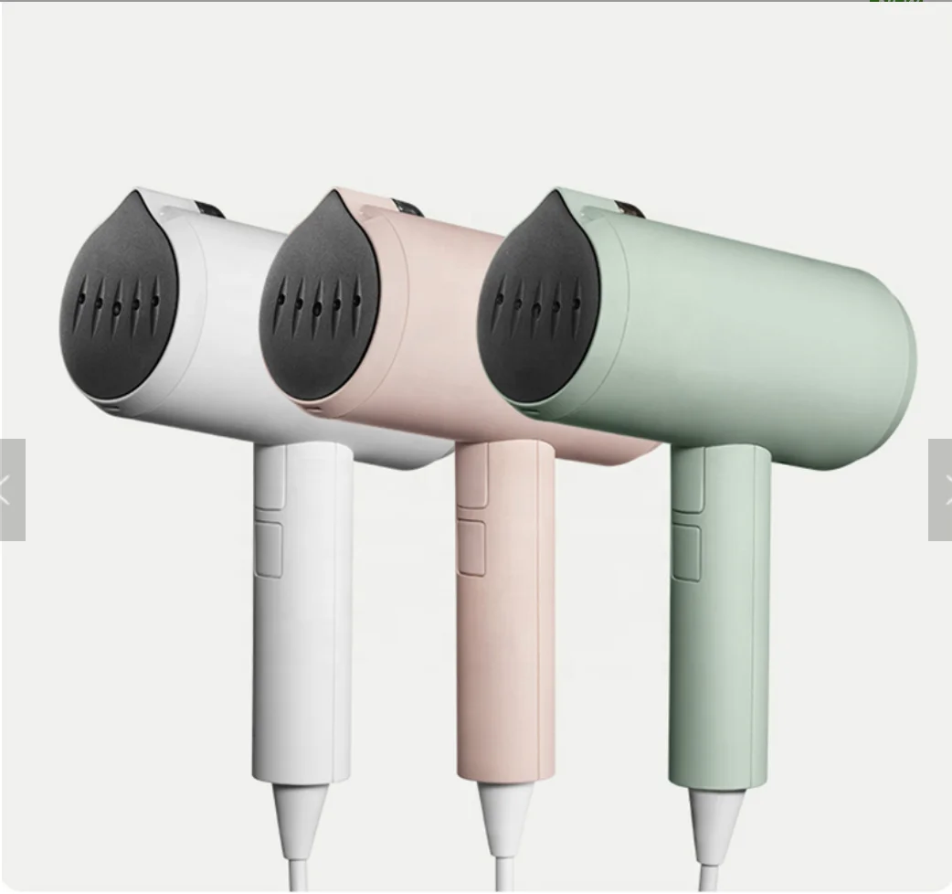 dual voltage garment steamer