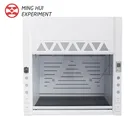 Fume Hood Price All Steel Ventilated Table Of Steel Table Exhaust Cabinet Full Steel Fume Hood