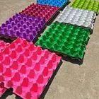Egg Tray Egg Tray Dyes Color Egg Cartongs Dyes For Red Rose Blue Yellow Paper