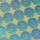 Security Code Sticker Custom 3d Hologram Sticker Anti-counterfeit Secure Label