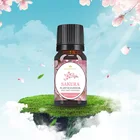 Wholesale Price Plant Extract Essential Oil Water Soluble Perfumes Original Fragrance Oil For Home Air Humidifier