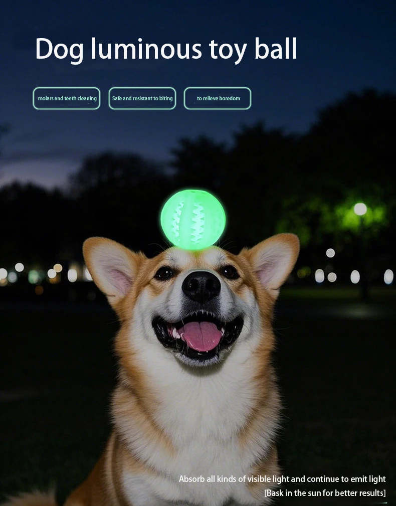 New Hot Selling Glow-in-the-dark Dog Toy Ball Bite-resistant Teeth-grinding Toys Leaky Food Pet Toys Pet Supplies details