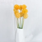 Wedding For Floral Wedding Decoration Dried Scabiosa Preserved Windmill Fruit Flower For Floral