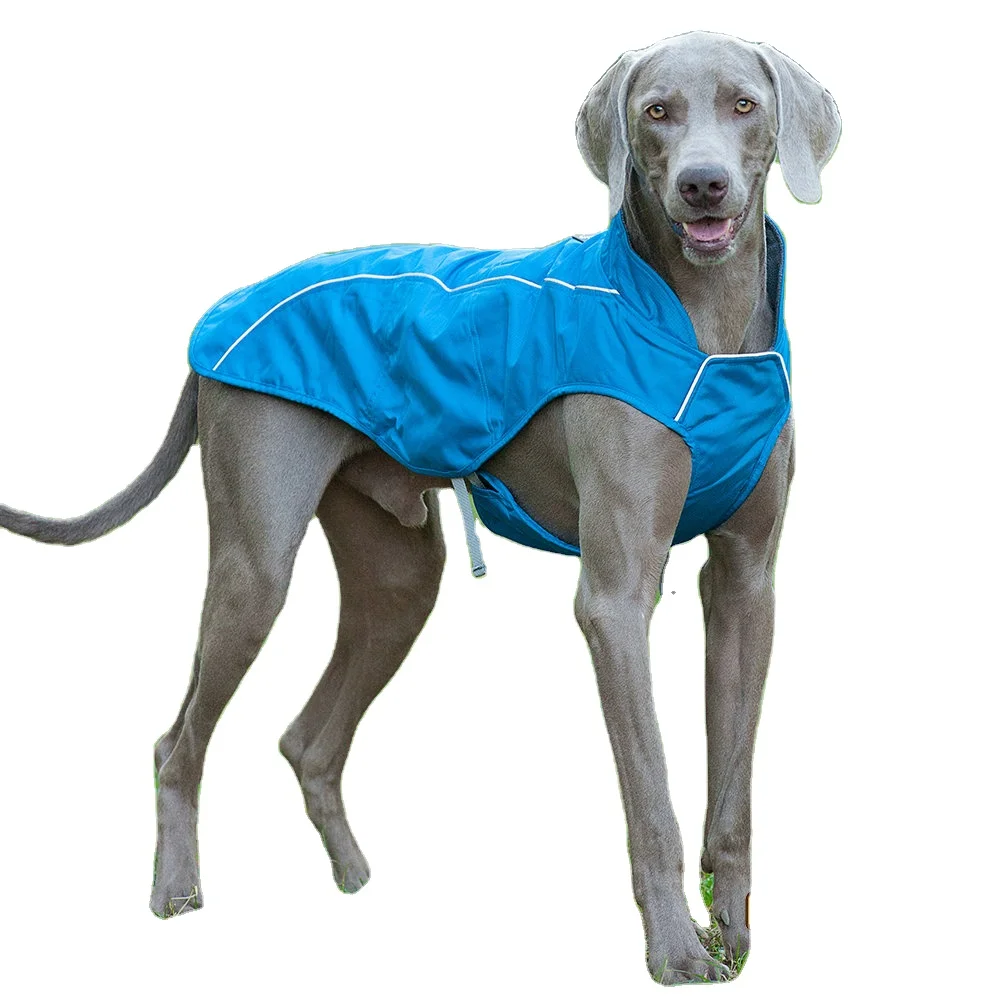 hiking dog jacket