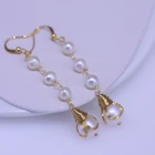Pearl Earrings 2021 New Elegant Natural Freshwater Pearl Earrings Gold-plated
