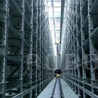 Asrs Warehouse Automation Storage Equipment Automated Warehouse System Pallet Shuttle Rack