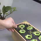 Plants Hydroponic Growing System With LED Grow Light Indoor Herb Garden Kit For 10 Plants
