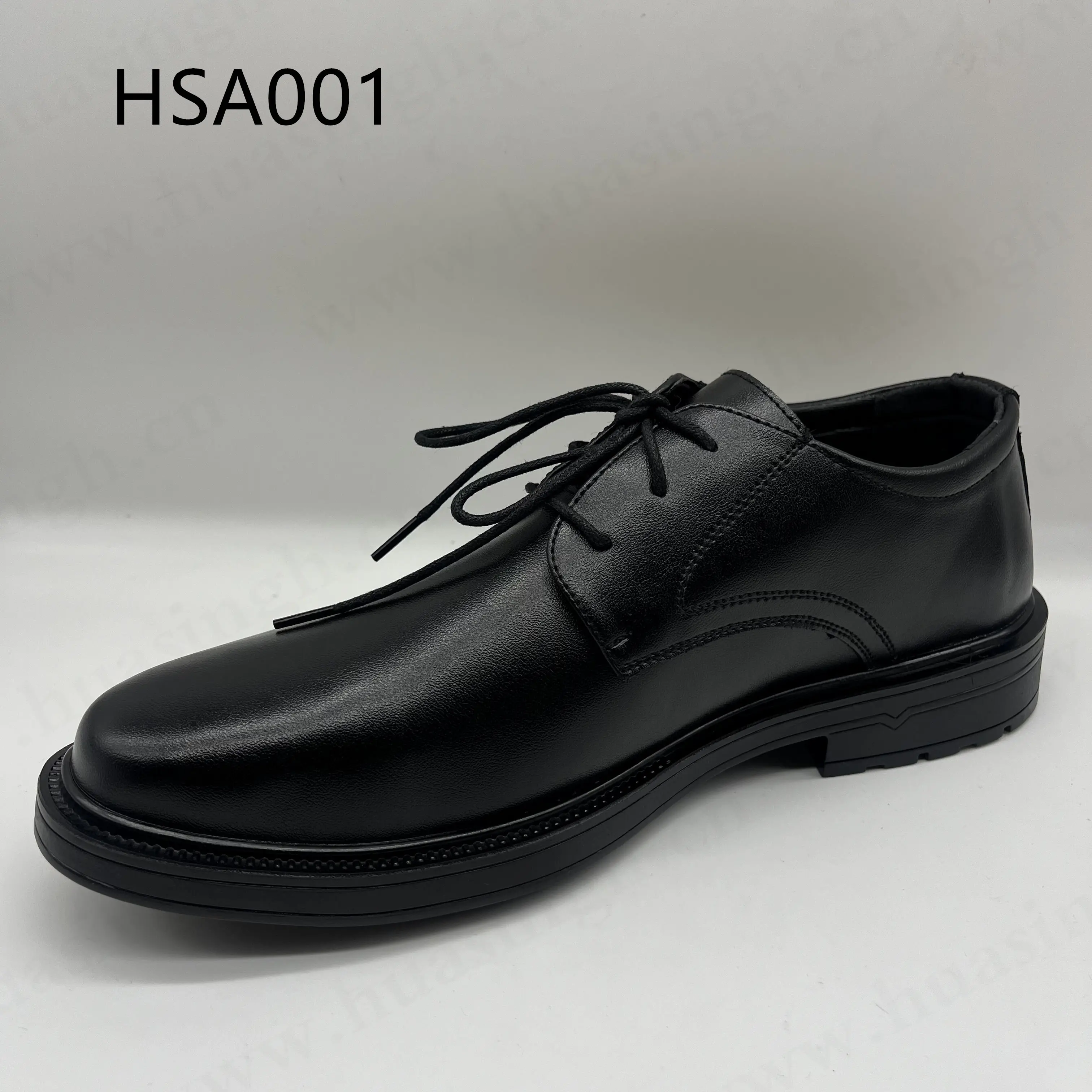 HSA001 (2)