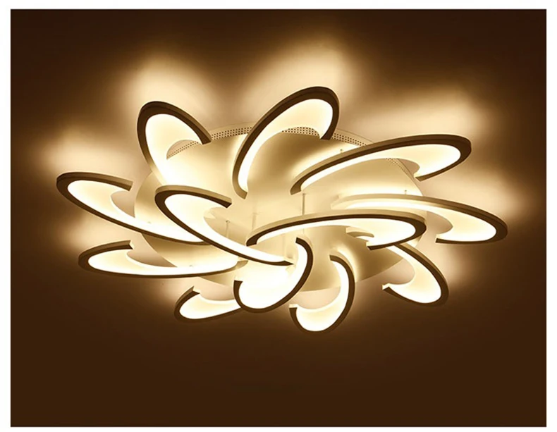 Contemporary Style LED Ceiling Lamp Acrylic Aluminum Ceiling Lights Lighting